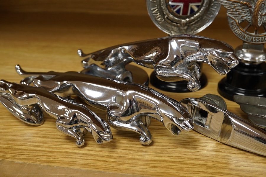 Three Jaguar car mascots in the form of the leaping Jaguar, together with an early Jaguar bonnet decoration, a ‘Royal Automobile Club Associate’ radiator cap mascot with enamel Union flag to the centre, and a ‘Civil Serv